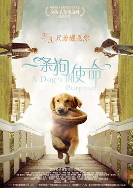 灰色地带